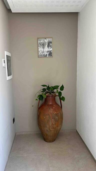 卡斯特拉纳格罗泰Matarrese 1950住宿加早餐旅馆 外观 照片